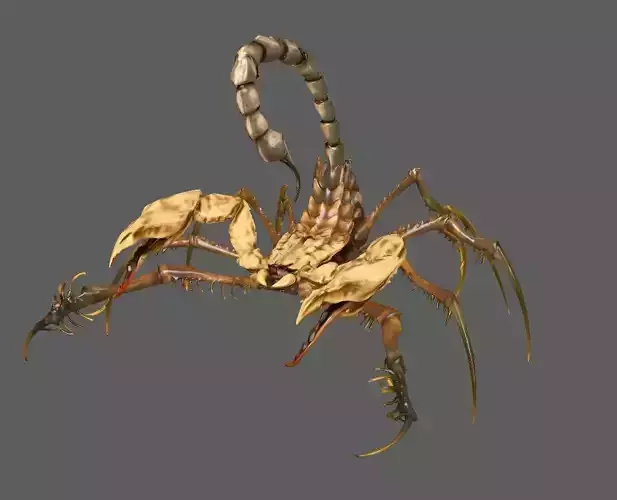 Scorpion