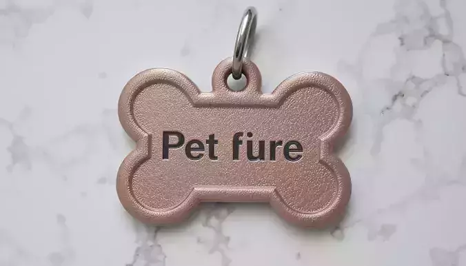 Pet Tag  Bone Paw Shape 3D Printable Model For Dogs Cats 3D print model