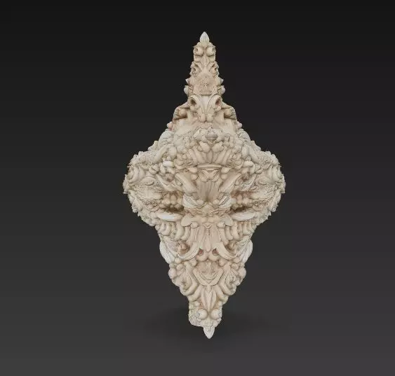 Christmas Star Majestic and Detailed Decorative 3D Model 3D print model_20