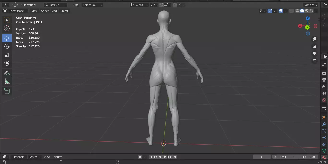 Ecorche Female Musclenames Anatomy 3D model_16