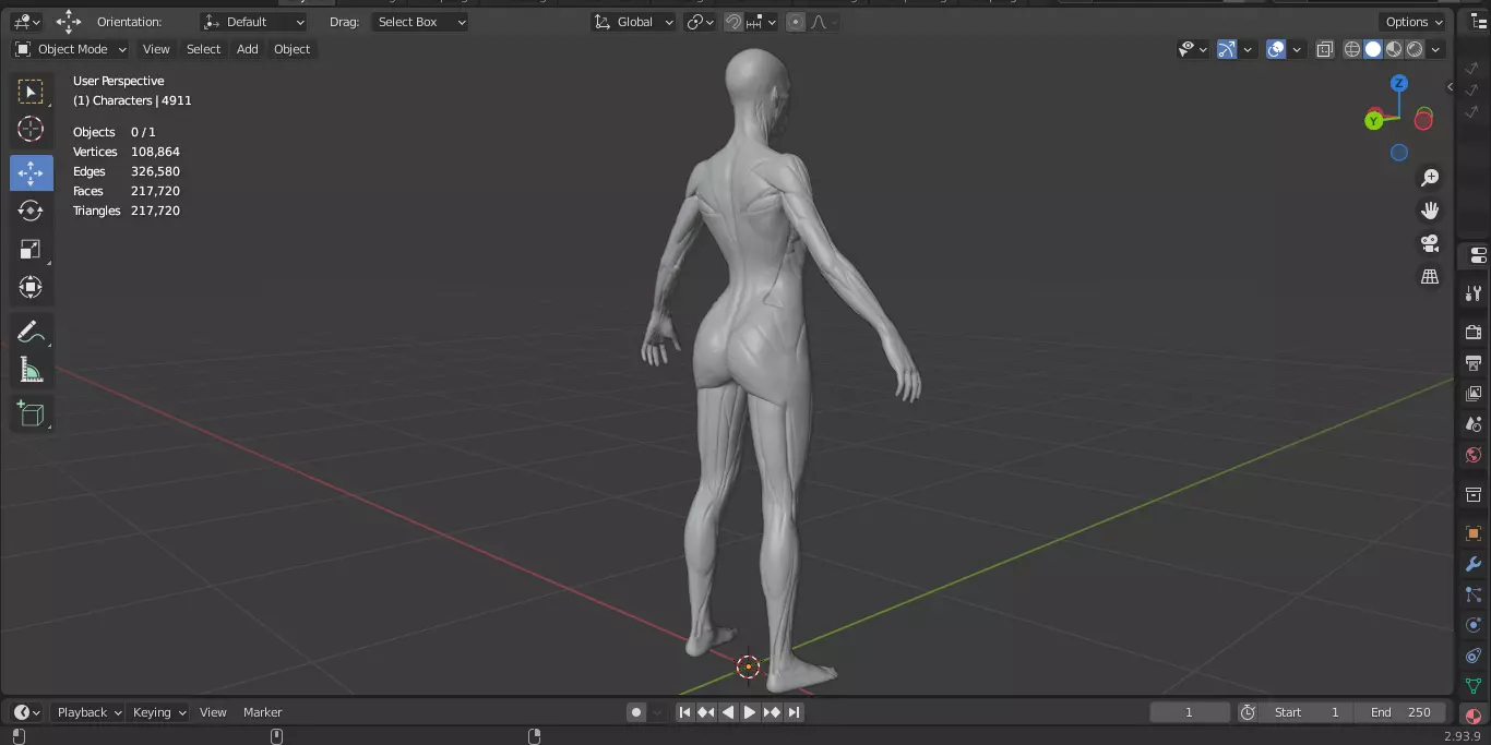 Ecorche Female Musclenames Anatomy 3D model_17