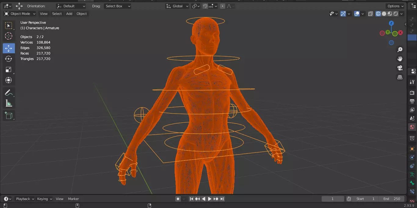 Ecorche Female Musclenames Anatomy 3D model_20