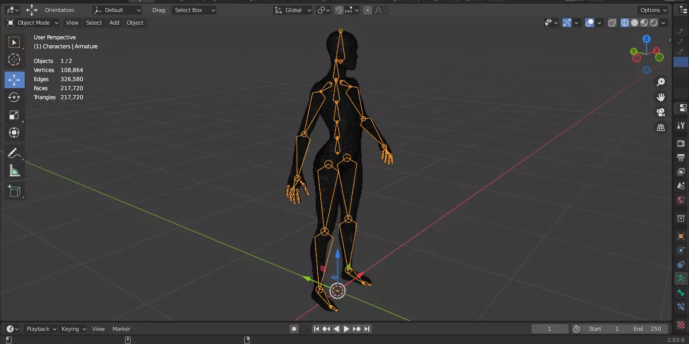 Ecorche Female Musclenames Anatomy 3D model_22