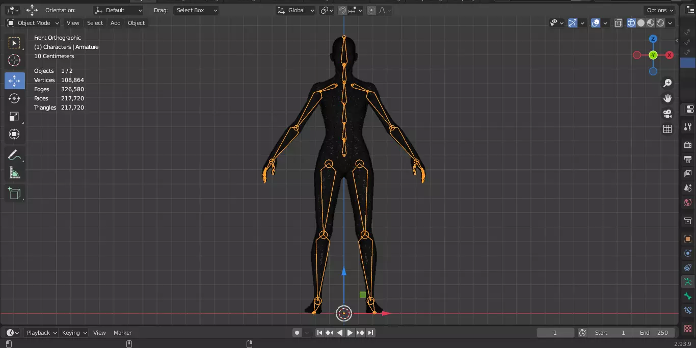 Ecorche Female Musclenames Anatomy 3D model_21