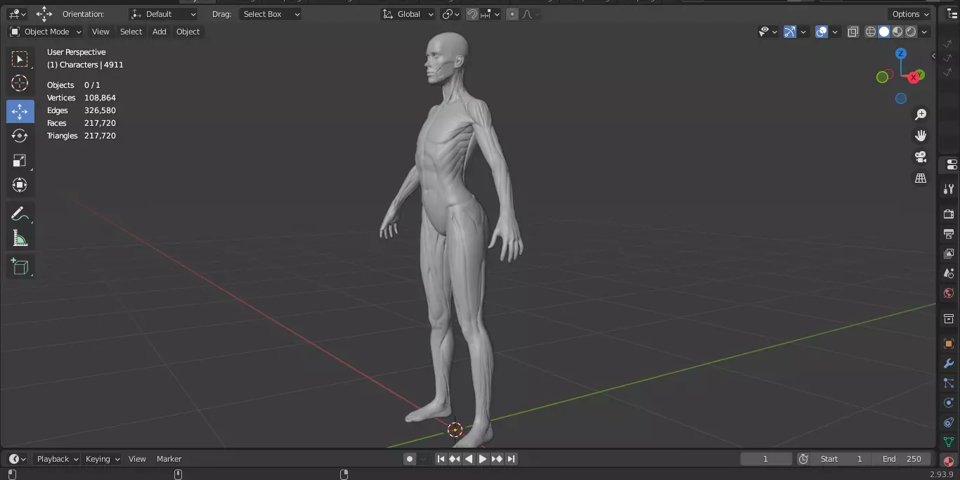 Ecorche Female Musclenames Anatomy 3D model_14