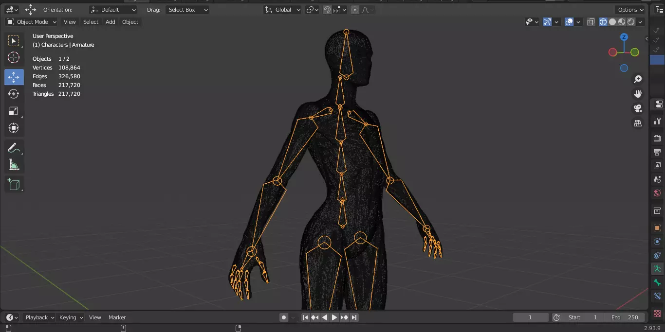 Ecorche Female Musclenames Anatomy 3D model_23