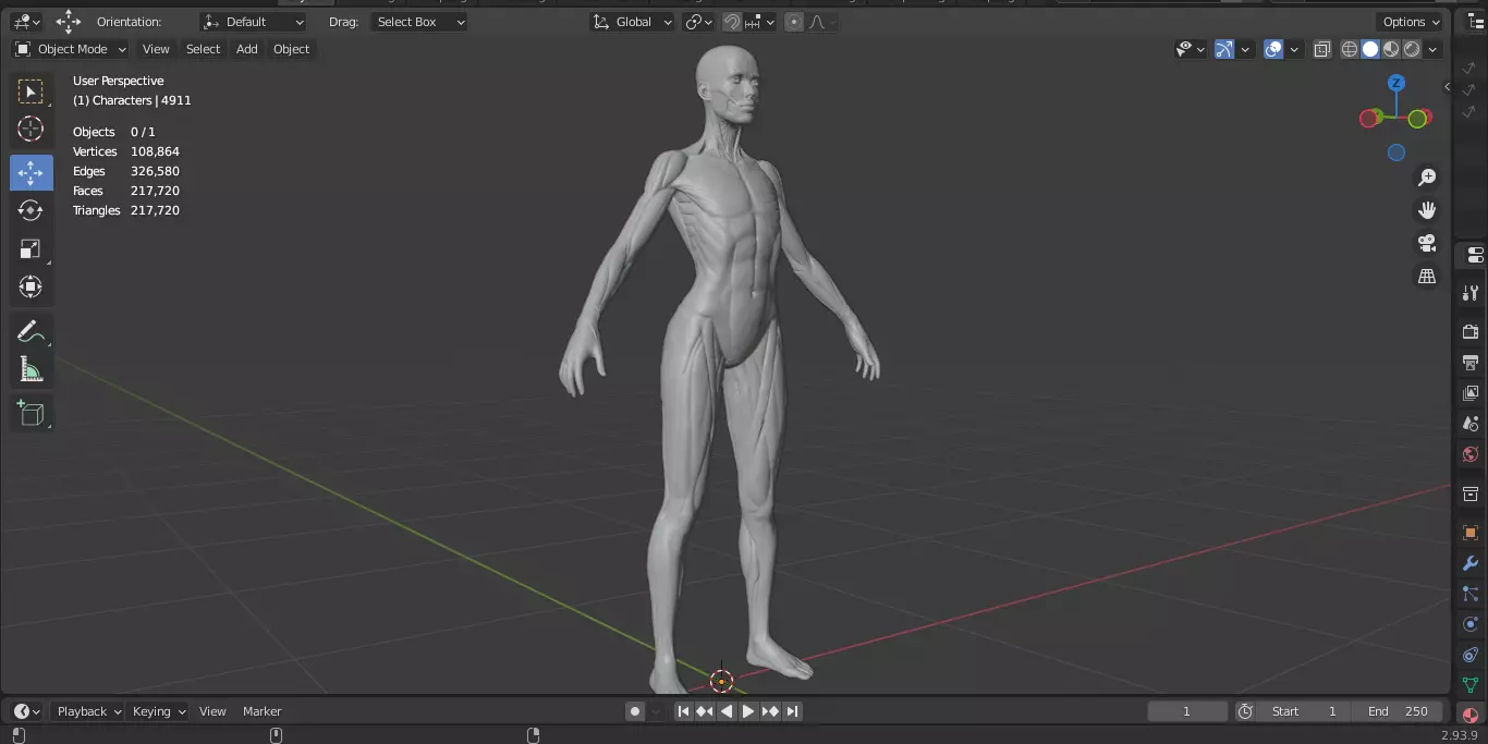 Ecorche Female Musclenames Anatomy 3D model_18