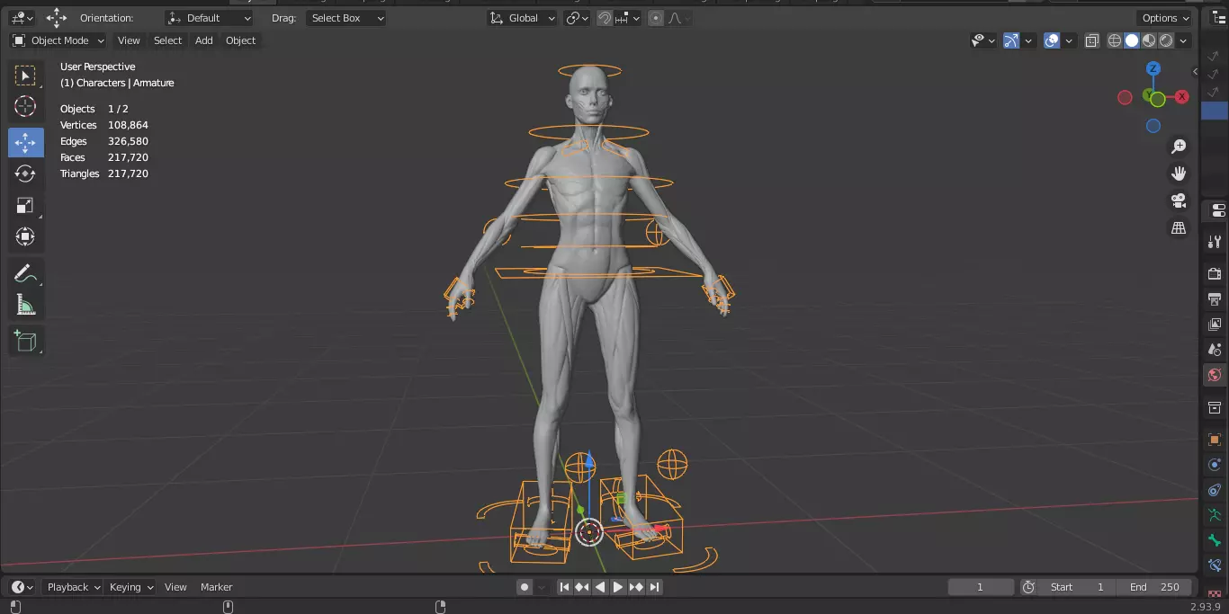 Ecorche Female Musclenames Anatomy 3D model_19