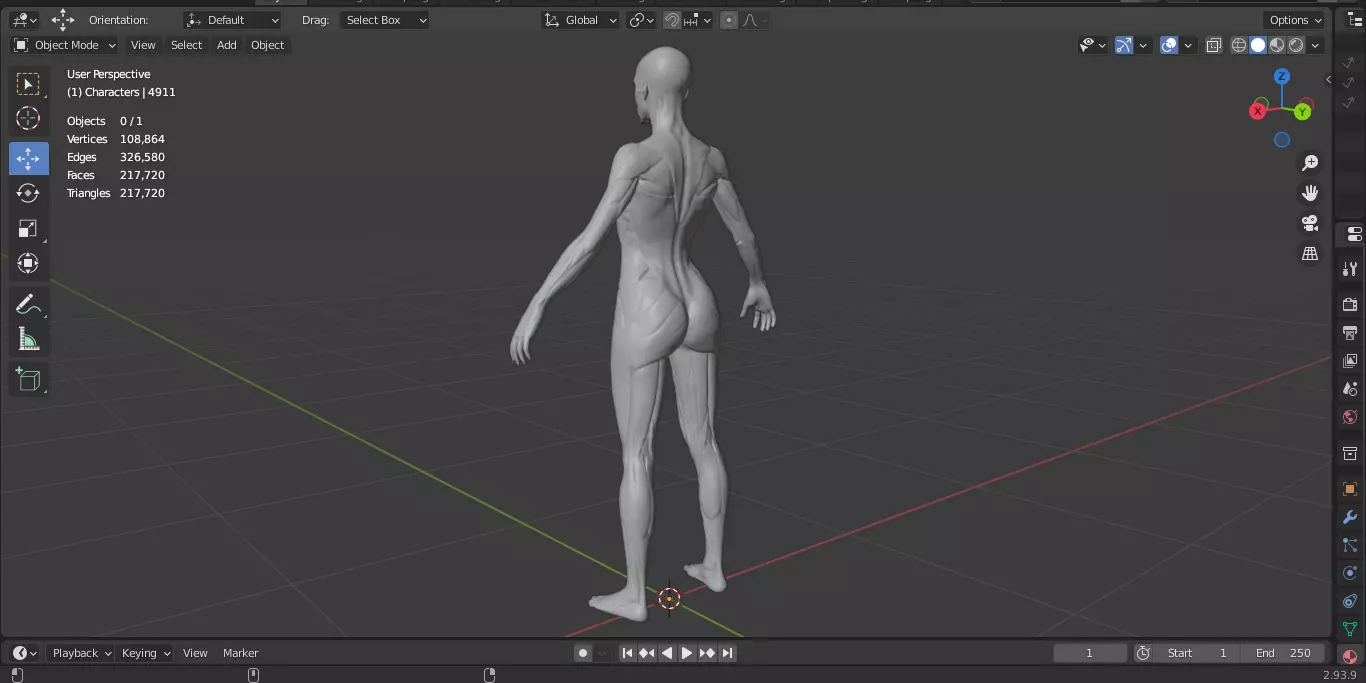 Ecorche Female Musclenames Anatomy 3D model_15