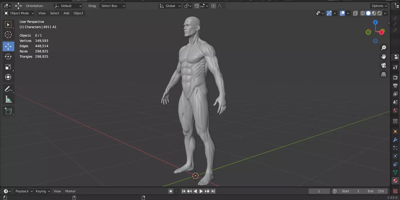 Ecorche Male Musclenames Anatomy 3D model_14