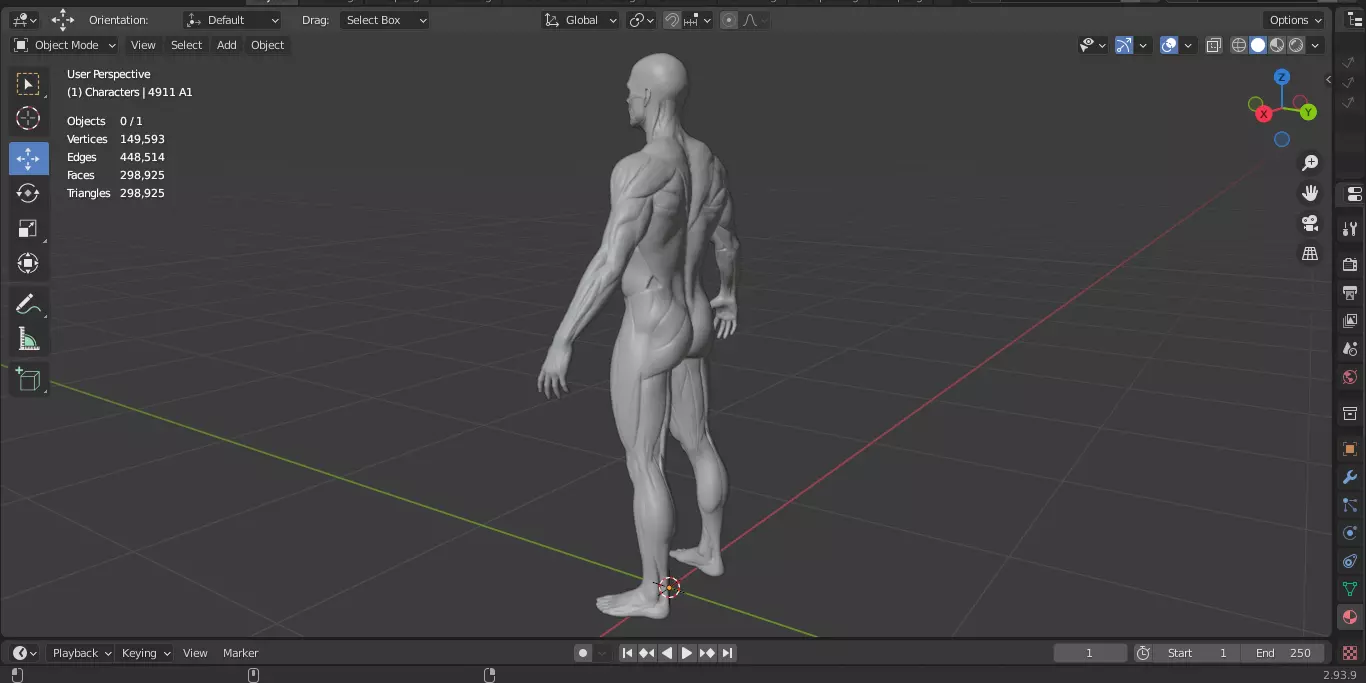 Ecorche Male Musclenames Anatomy 3D model_15