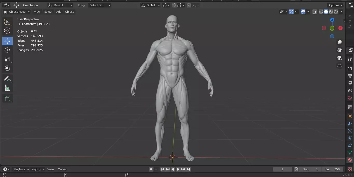Ecorche Male Musclenames Anatomy 3D model_13