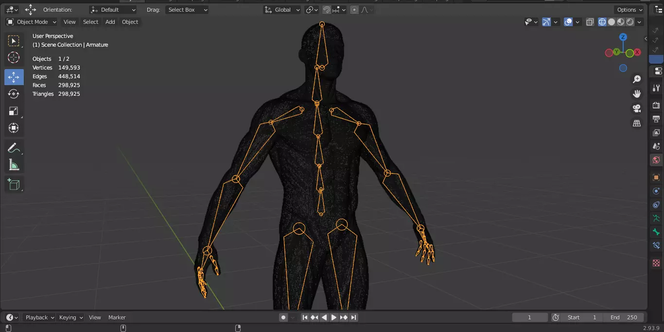 Ecorche Male Musclenames Anatomy 3D model_23