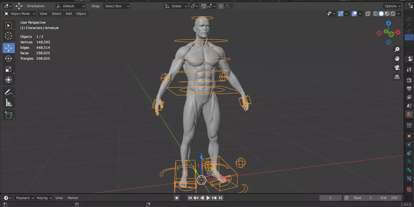 Ecorche Male Musclenames Anatomy 3D model_19