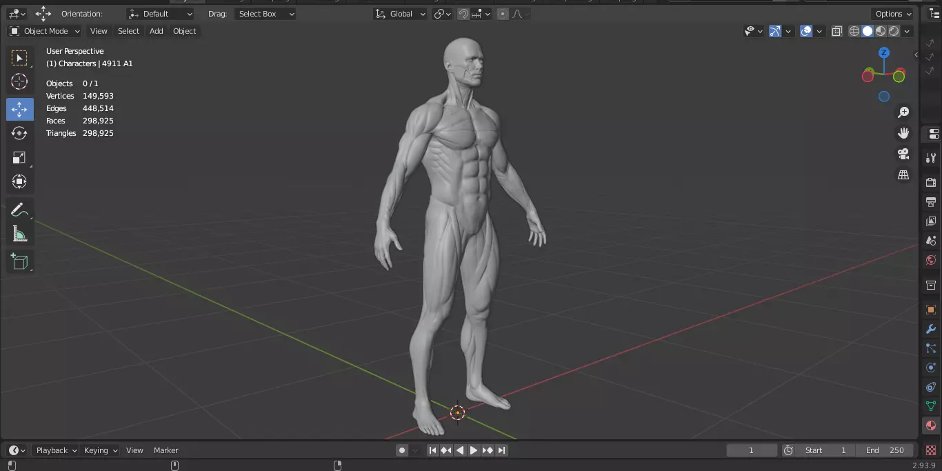 Ecorche Male Musclenames Anatomy 3D model_18