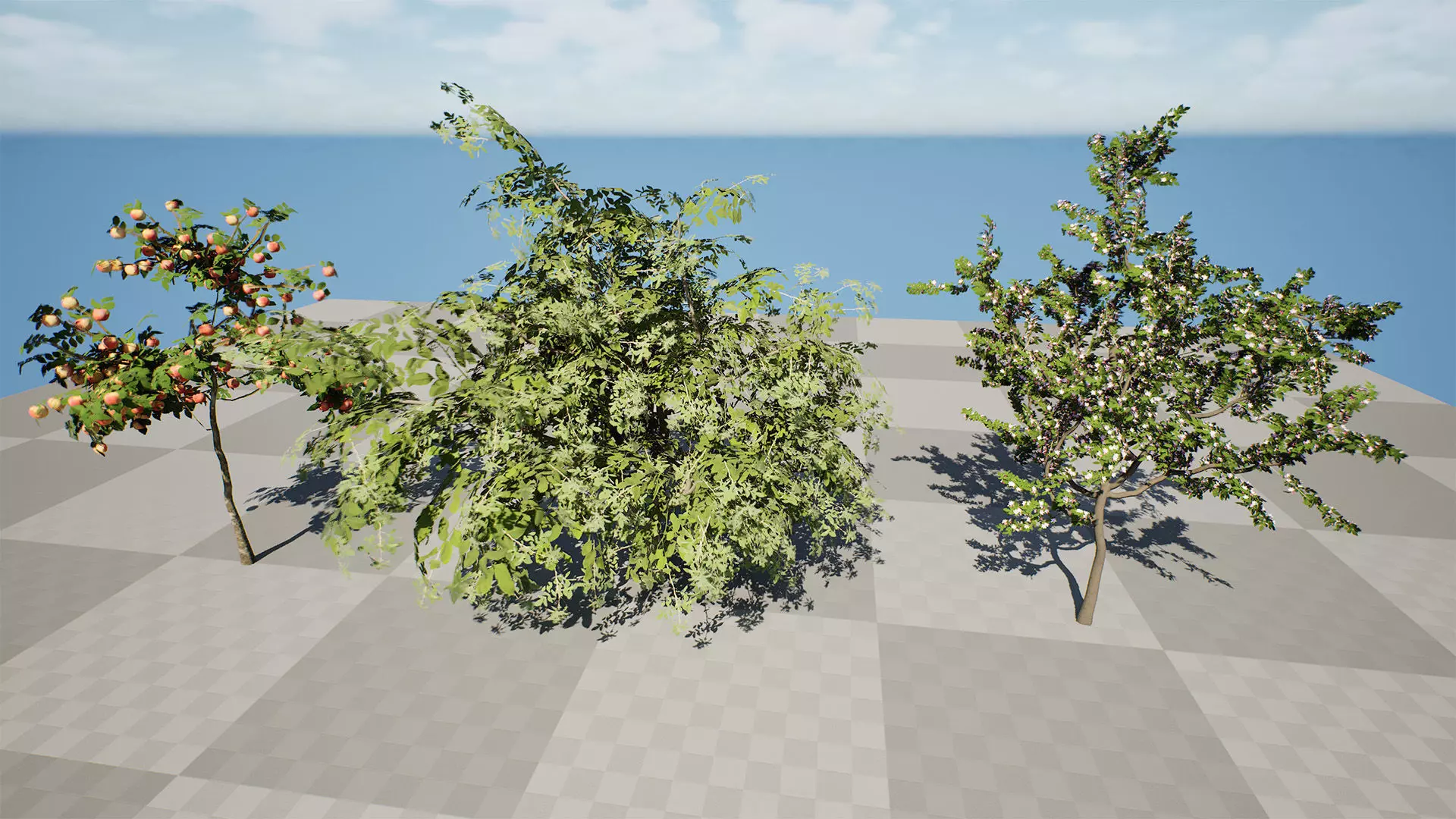 British Standard Apple Malus Bramleys Seedling Tree Low-poly 3D model_3