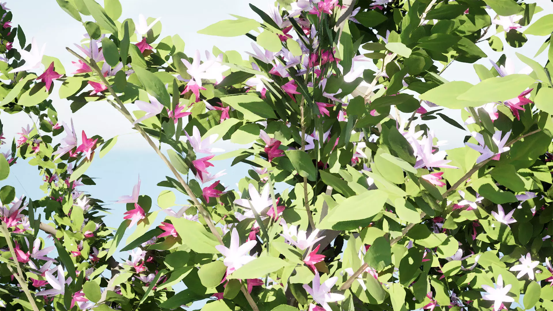 British Standard Apple Malus Bramleys Seedling Tree Low-poly 3D model_2