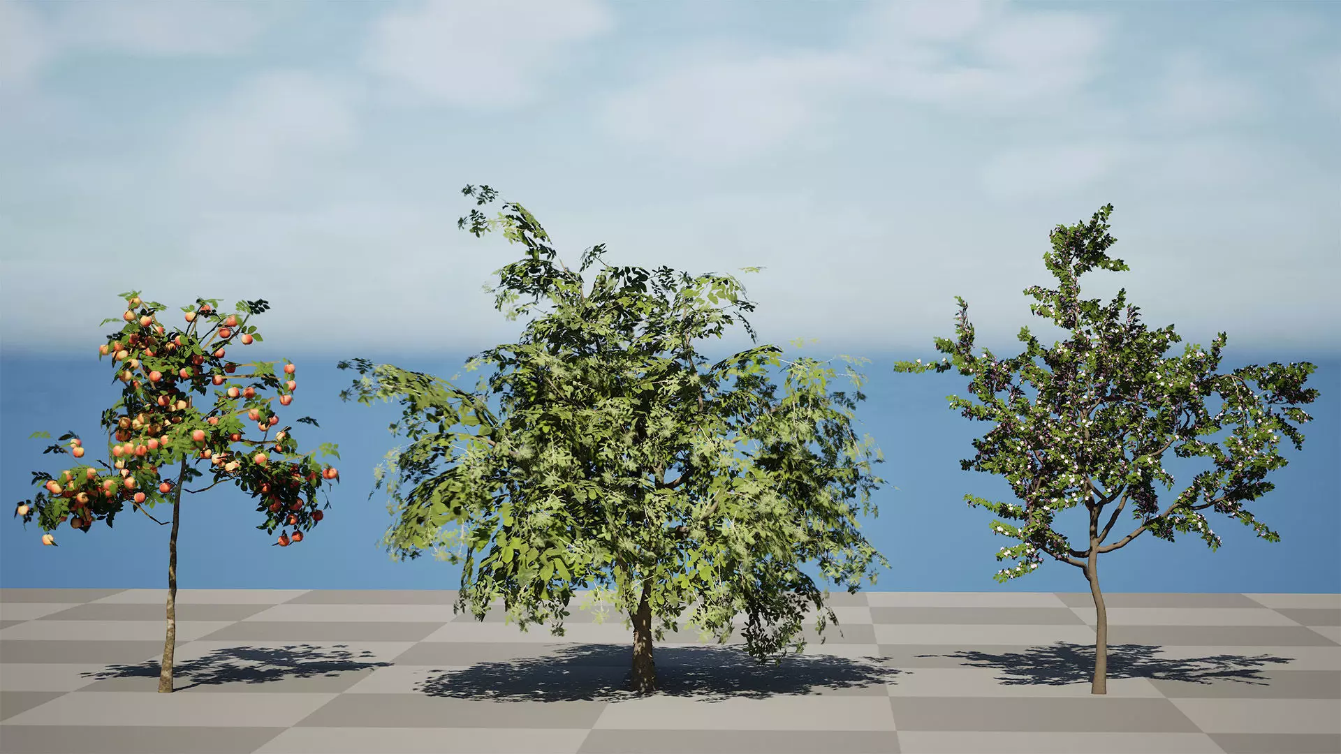 British Standard Apple Malus Bramleys Seedling Tree Low-poly 3D model_4