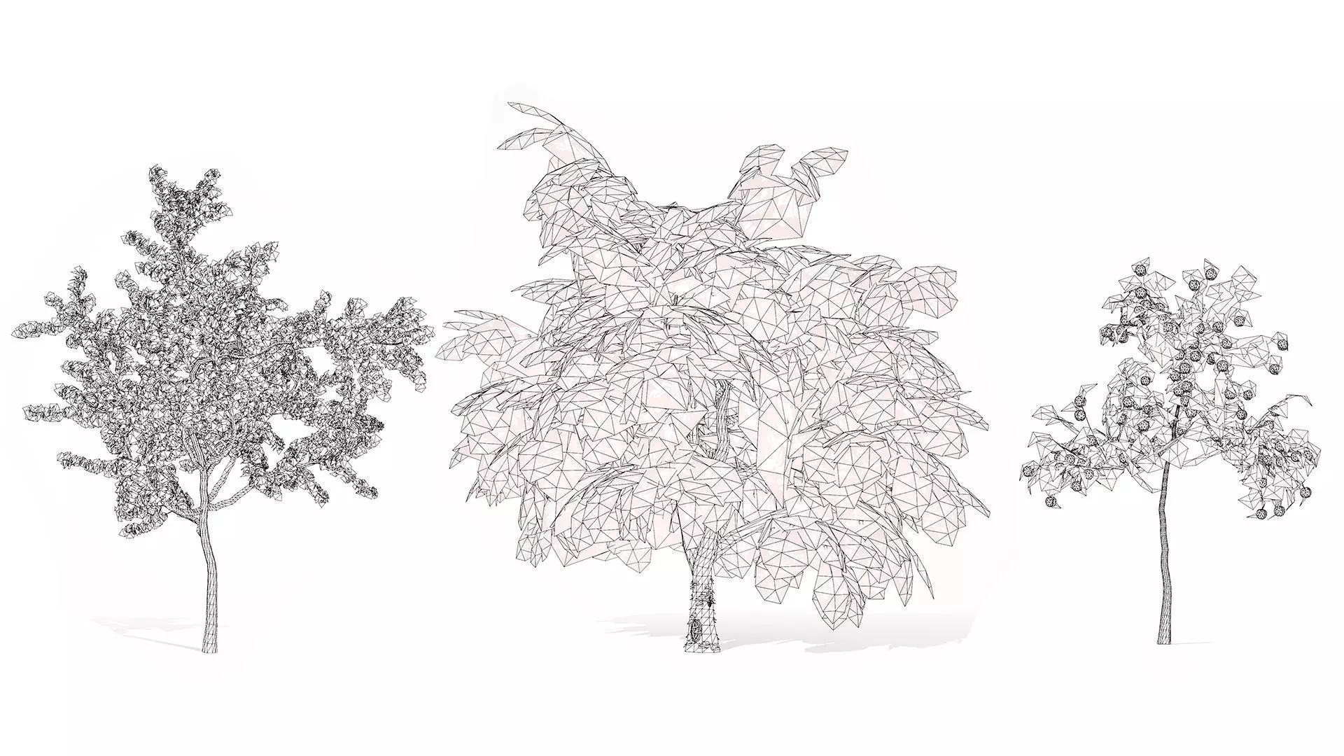 British Standard Apple Malus Bramleys Seedling Tree Low-poly 3D model_11