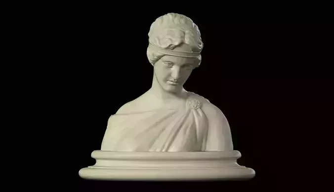 Bust of a Woman printable 3D print model