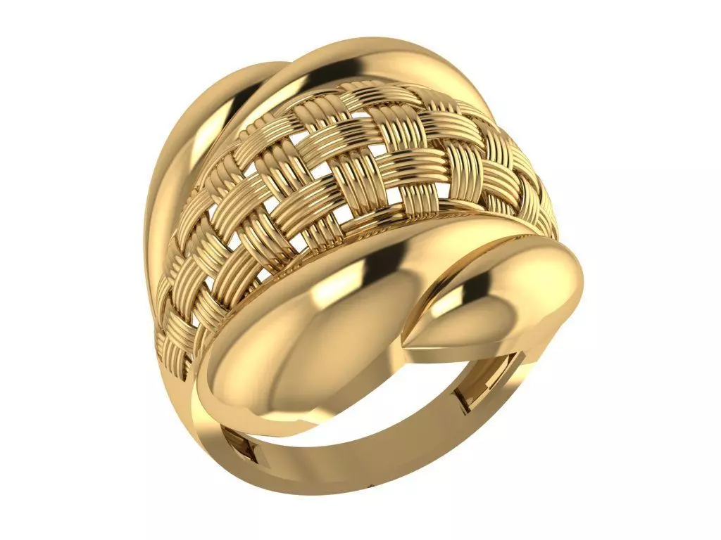 RING MODEL 3D print model_8