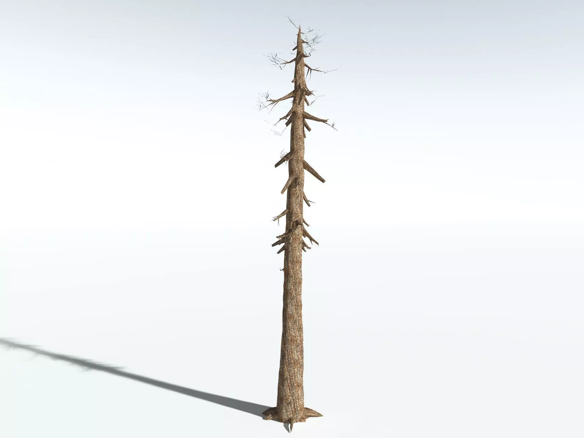 EVERYPlant Giant Redwood LowPoly Low-poly 3D model_18