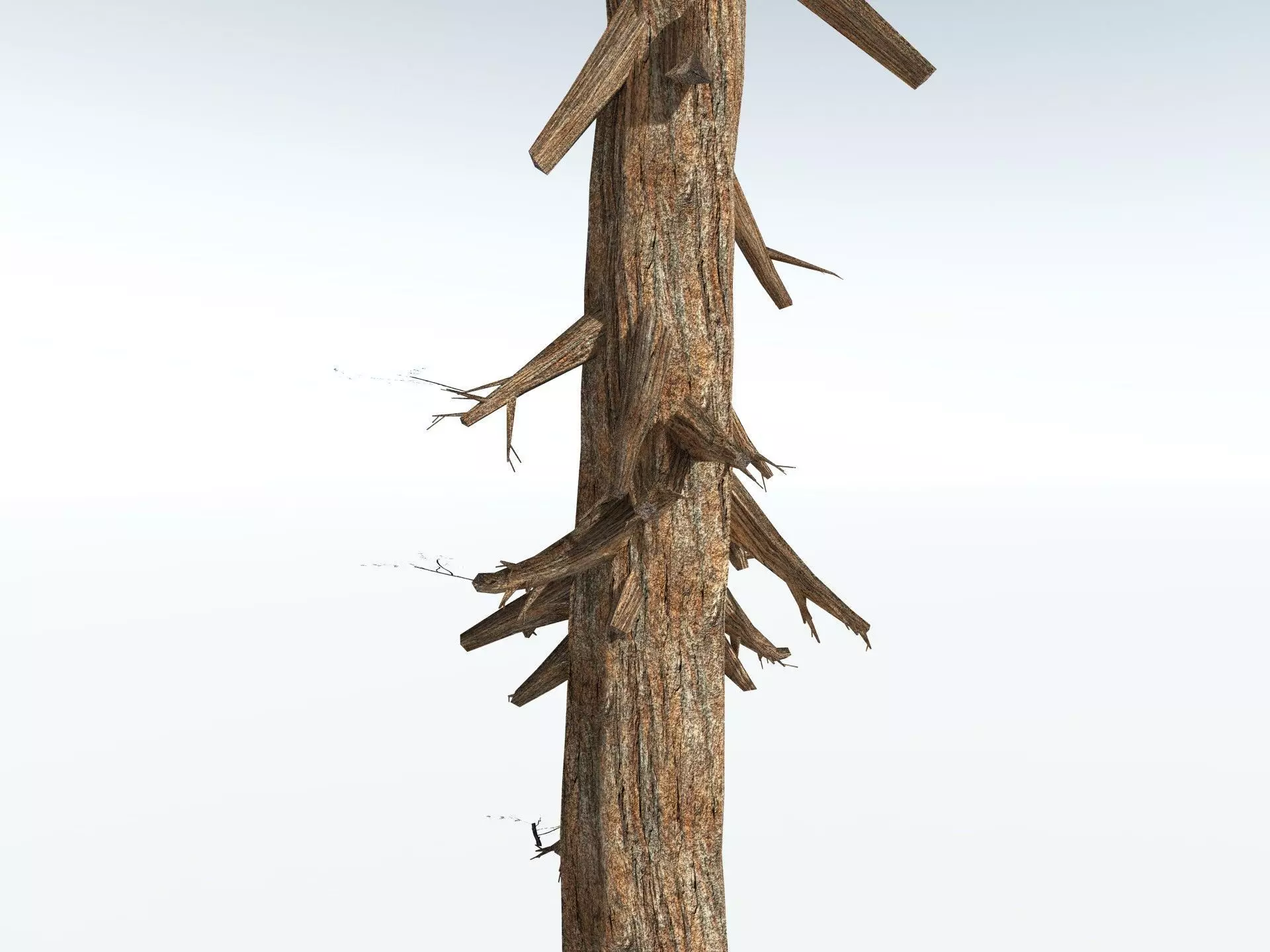 EVERYPlant Giant Redwood LowPoly Low-poly 3D model_19