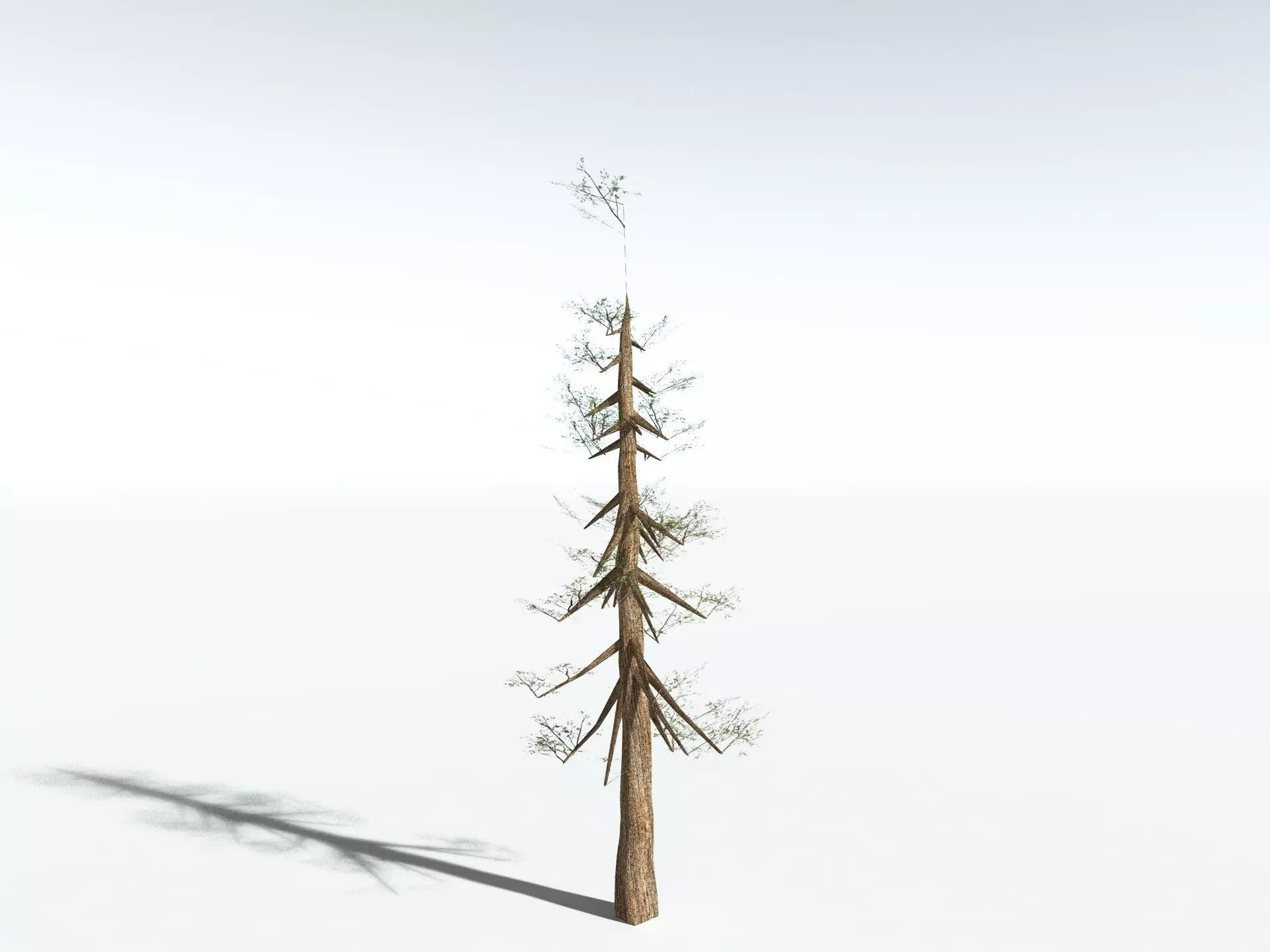 EVERYPlant Giant Redwood LowPoly Low-poly 3D model_27