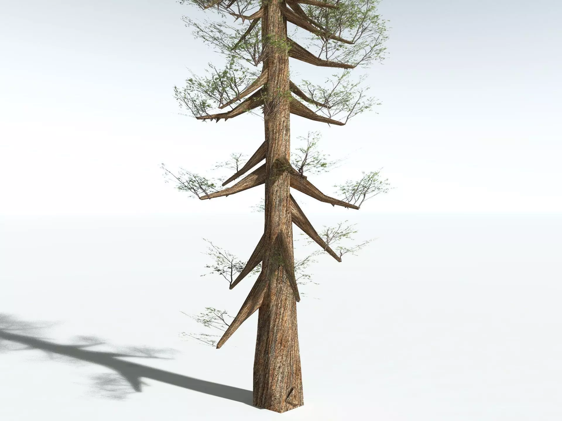 EVERYPlant Giant Redwood LowPoly Low-poly 3D model_25