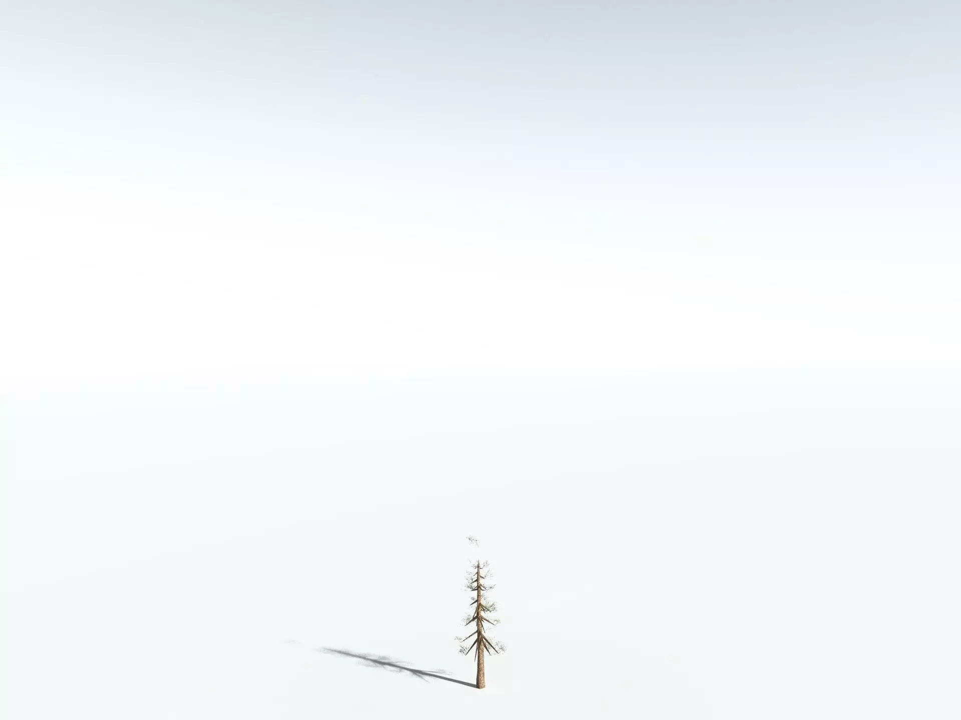 EVERYPlant Giant Redwood LowPoly Low-poly 3D model_26