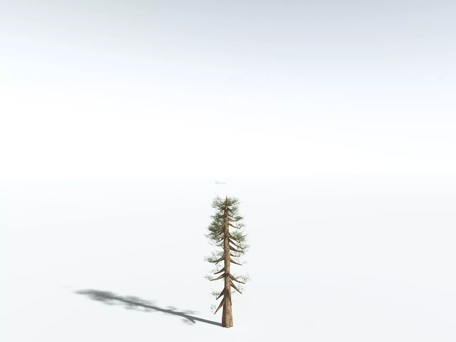 EVERYPlant Giant Redwood LowPoly Low-poly 3D model_24