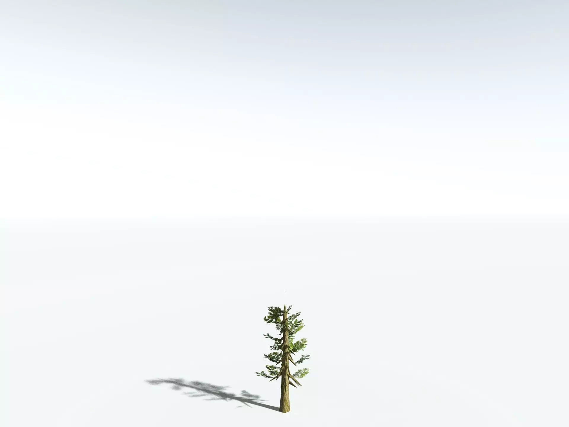 EVERYPlant Giant Redwood LowPoly Low-poly 3D model_29