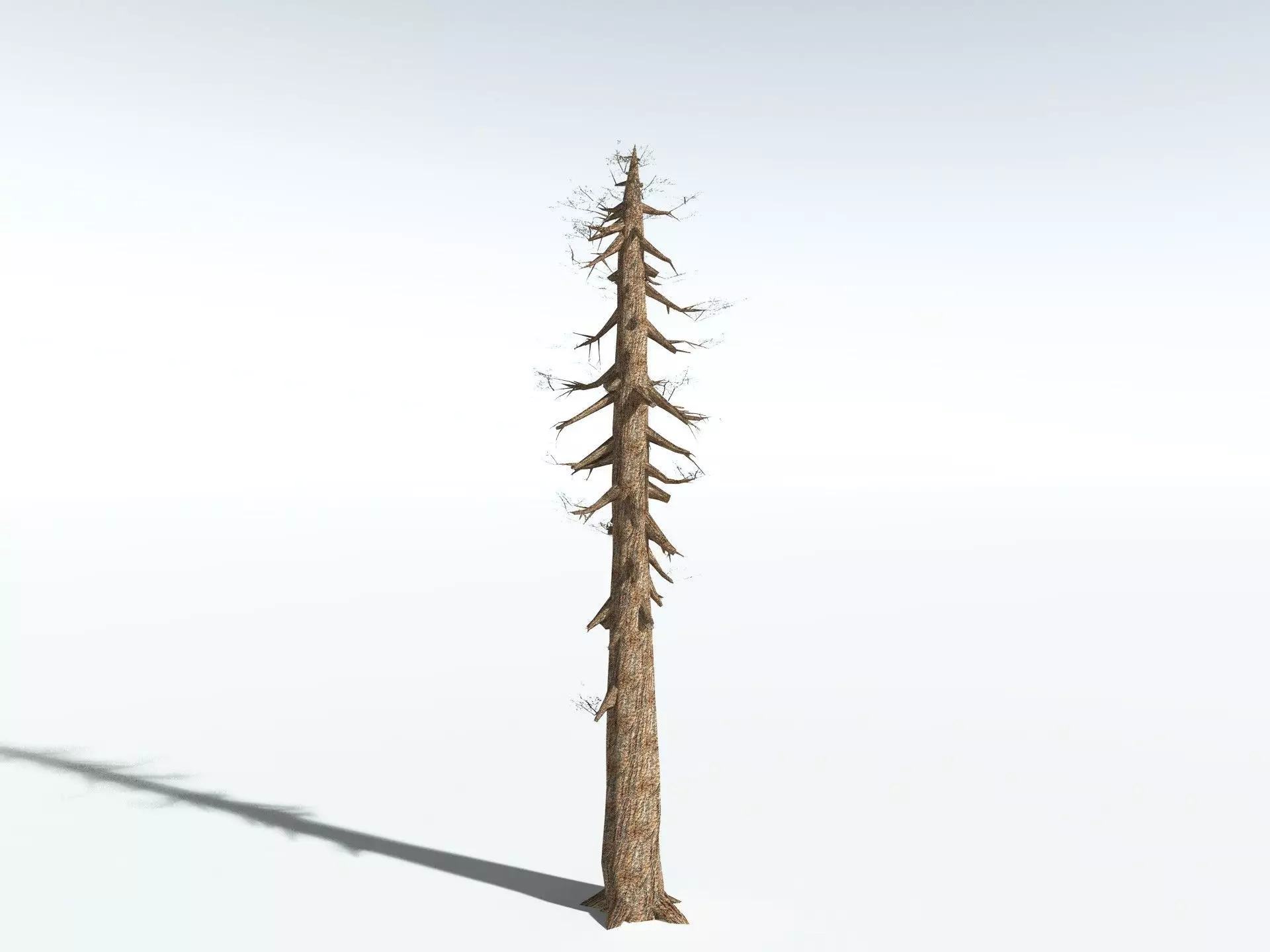 EVERYPlant Giant Redwood LowPoly Low-poly 3D model_16