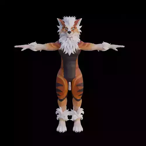 VRChat Furry Tiger Avatar  Stylized Anthro Character 3D Model