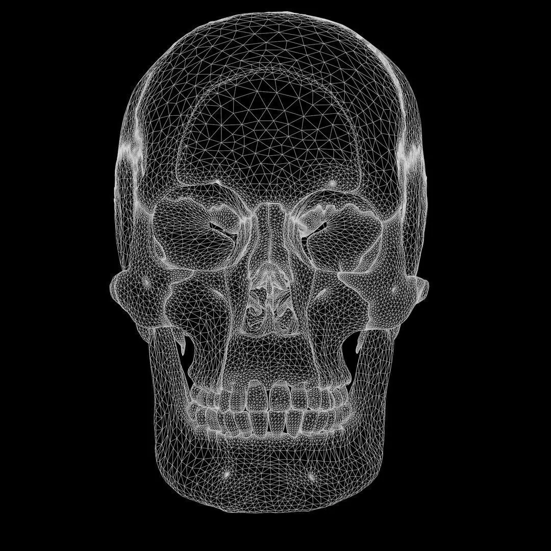 Human Skull Explode Anatomy Atlas Low-poly 3D model_13