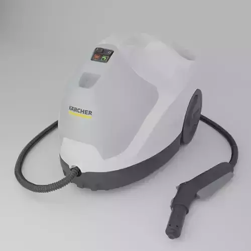 Steam cleaner