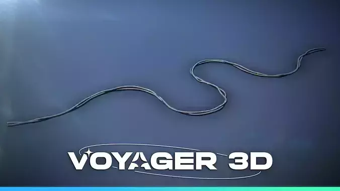 Network Cable Double 180cm Black Low-poly 3D model