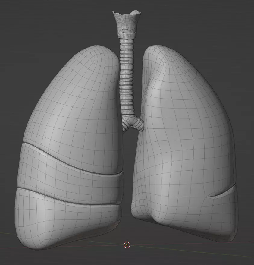 Lungs Low-poly 3D model_11