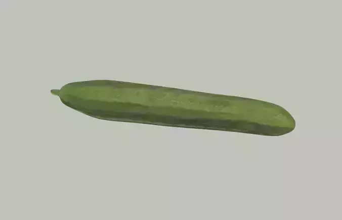 Long Cucumber