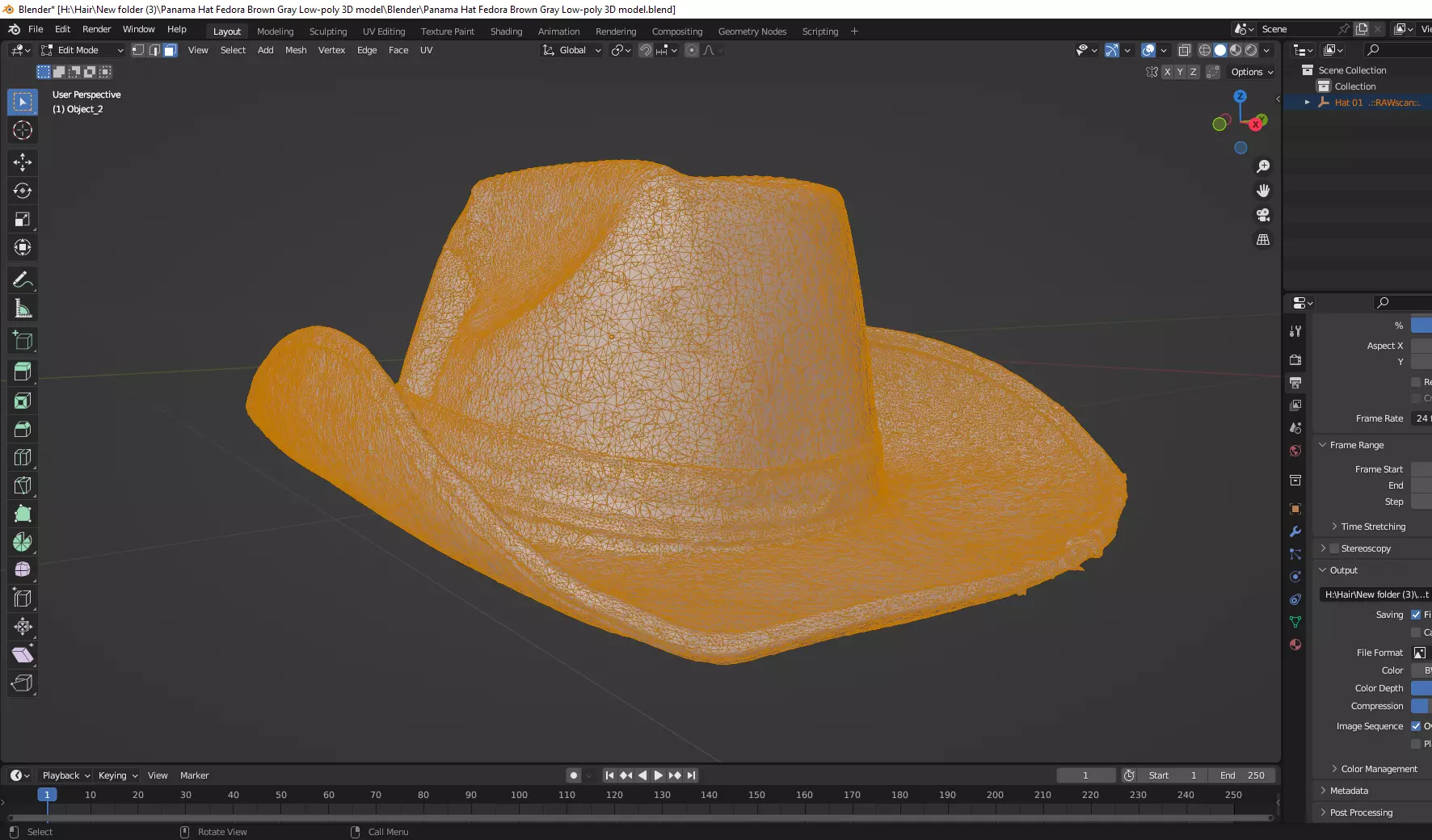 Panama Hat Fedora Brown Gray Low Poly 3D Model Low-poly 3D model_5