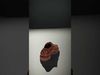 Classic Brown Brogue Shoe model pack Low-poly 3D model_2