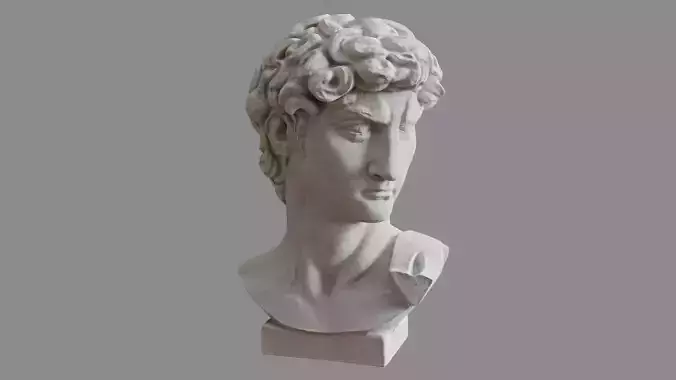 David Bust 3D model