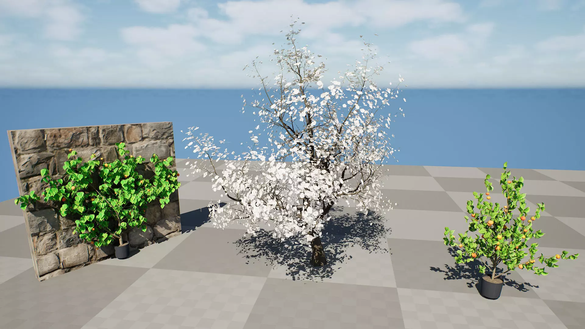 British Apricot Flavorcot Tree 3D Model Low-poly 3D model_10