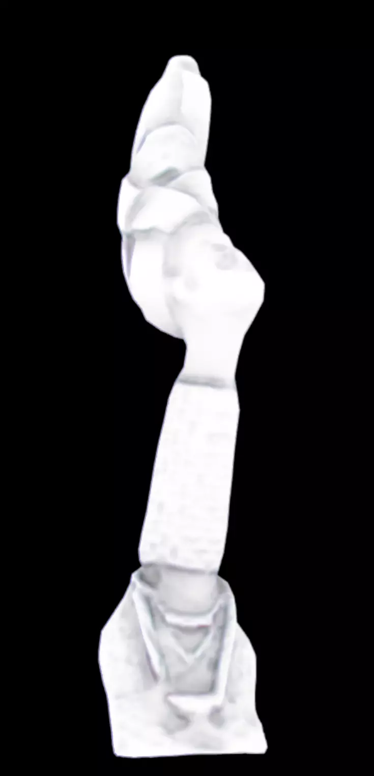 Female Figure with Coral-bead Low-poly 3D model_9