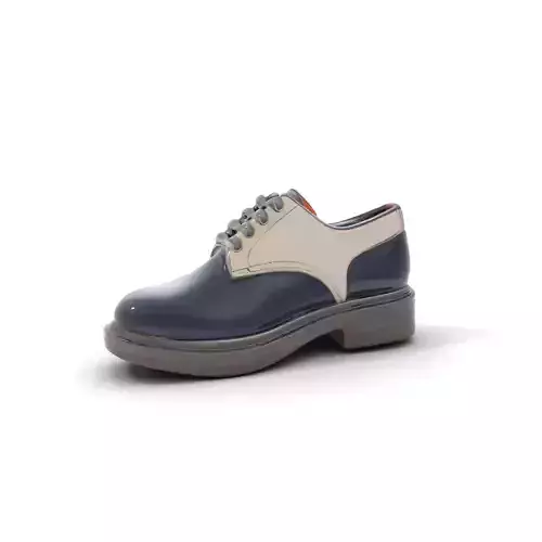 Elegant Leather Shoe model pack Texture
