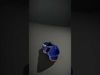 Royal Blue Velvet Shoe model pack Low-poly 3D model_2