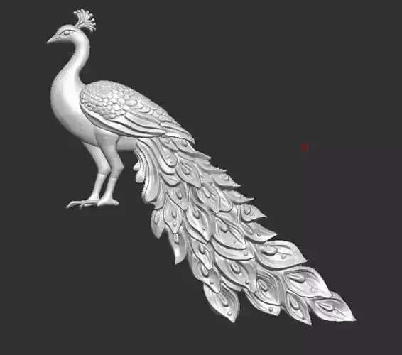 Peacock wall art  3D print model