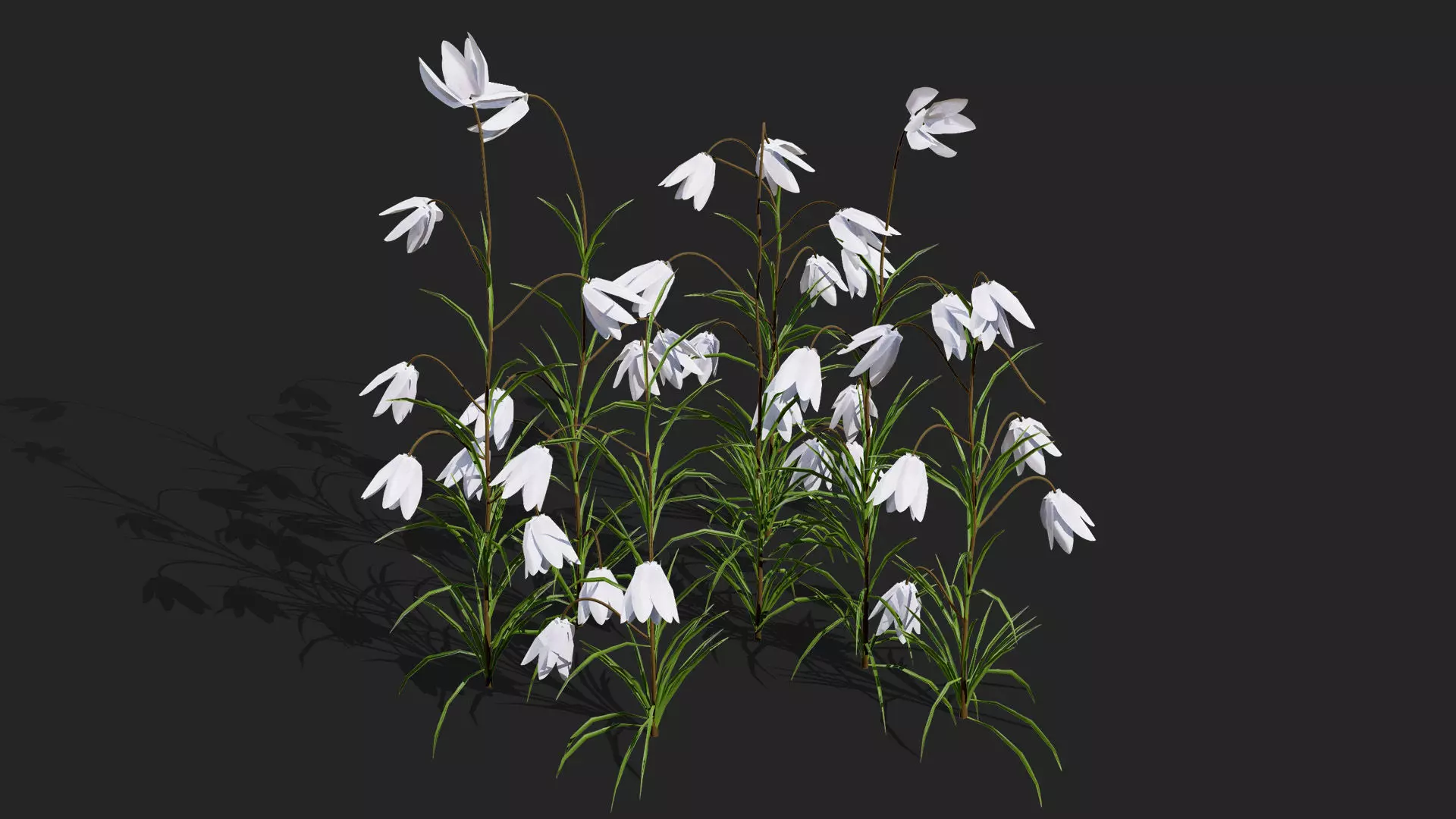 British Fritillary Flowers 3D Models Low-poly 3D model_5