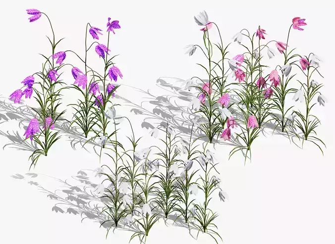 British Fritillary Flowers 3D Models Low-poly 3D model