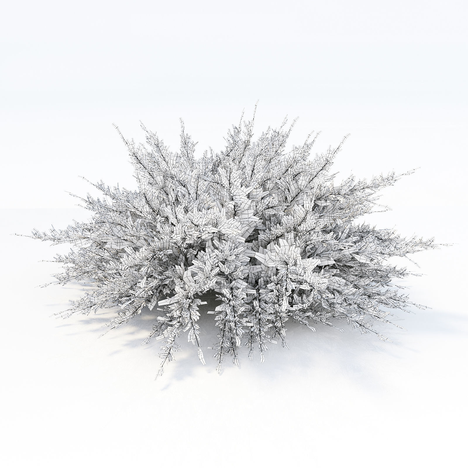 Savin Juniper 3D model_4